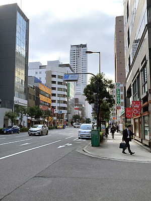 3_Yotsubashi_street1